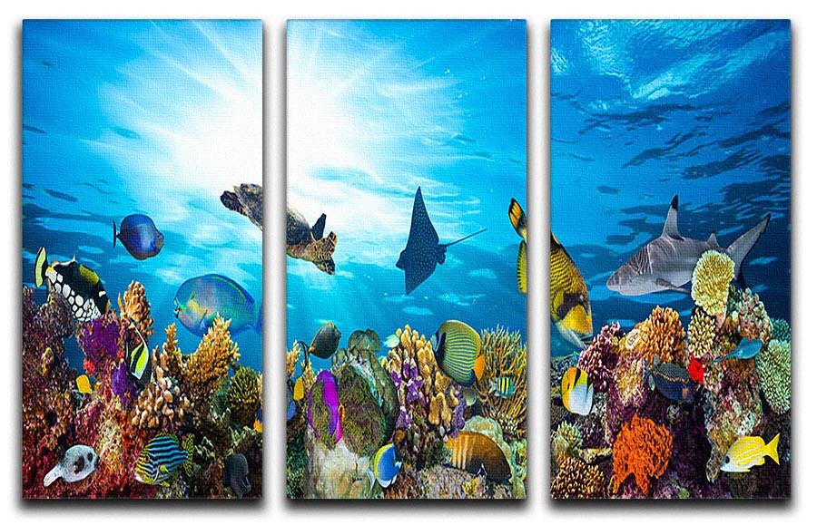 Colorful coral reef with many fishes and sea turtle 3 Split Panel Canvas Print - Canvas Art Rocks - 1