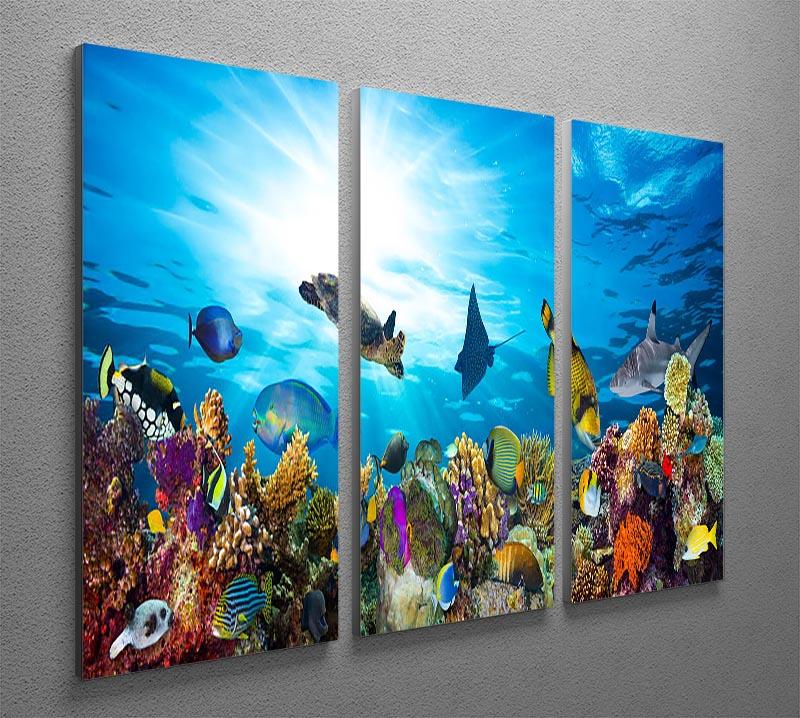 Colorful coral reef with many fishes and sea turtle 3 Split Panel Canvas Print - Canvas Art Rocks - 2