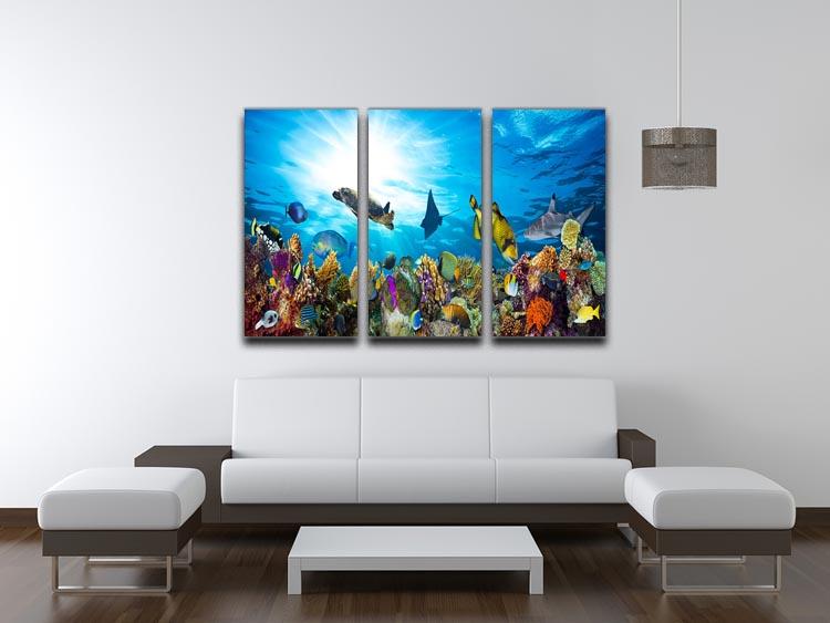 Colorful coral reef with many fishes and sea turtle 3 Split Panel Canvas Print - Canvas Art Rocks - 3