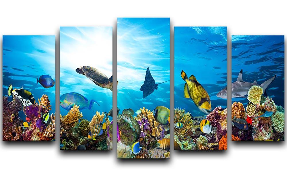 Colorful coral reef with many fishes and sea turtle 5 Split Panel Canvas - Canvas Art Rocks - 1