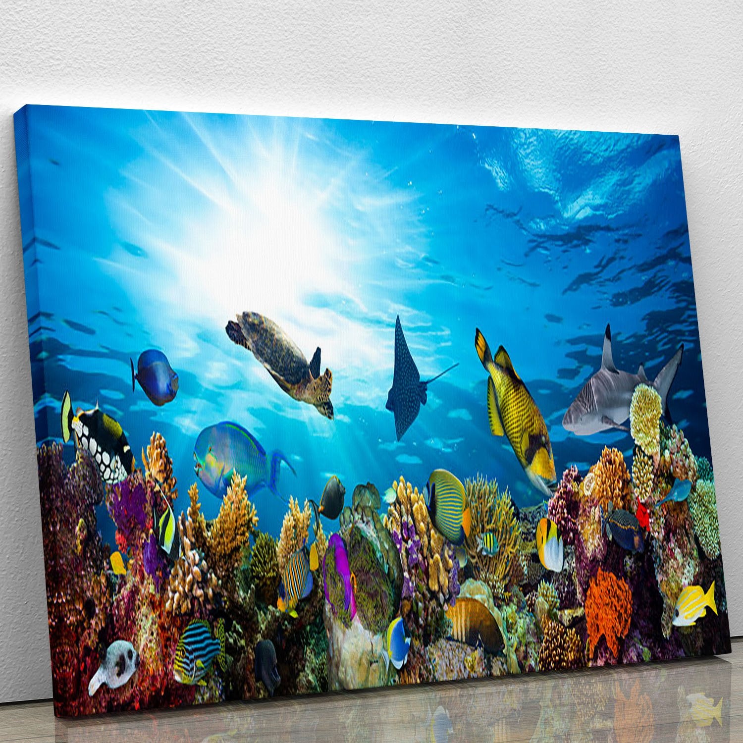 Colorful coral reef with many fishes and sea turtle Canvas Print or Poster