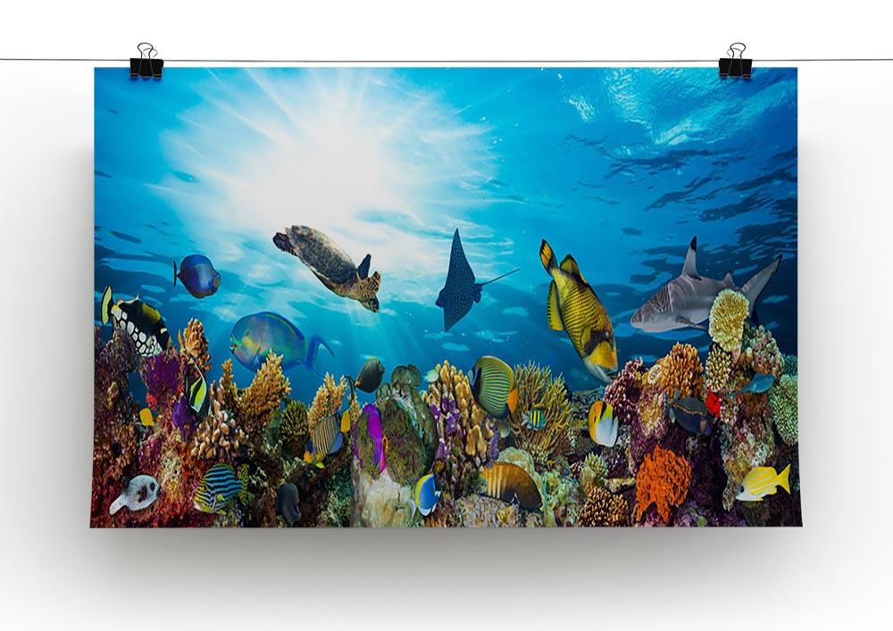 Colorful coral reef with many fishes and sea turtle Canvas Print or Poster - Canvas Art Rocks - 2