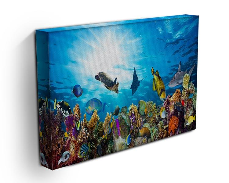 Colorful coral reef with many fishes and sea turtle Canvas Print or Poster - Canvas Art Rocks - 3