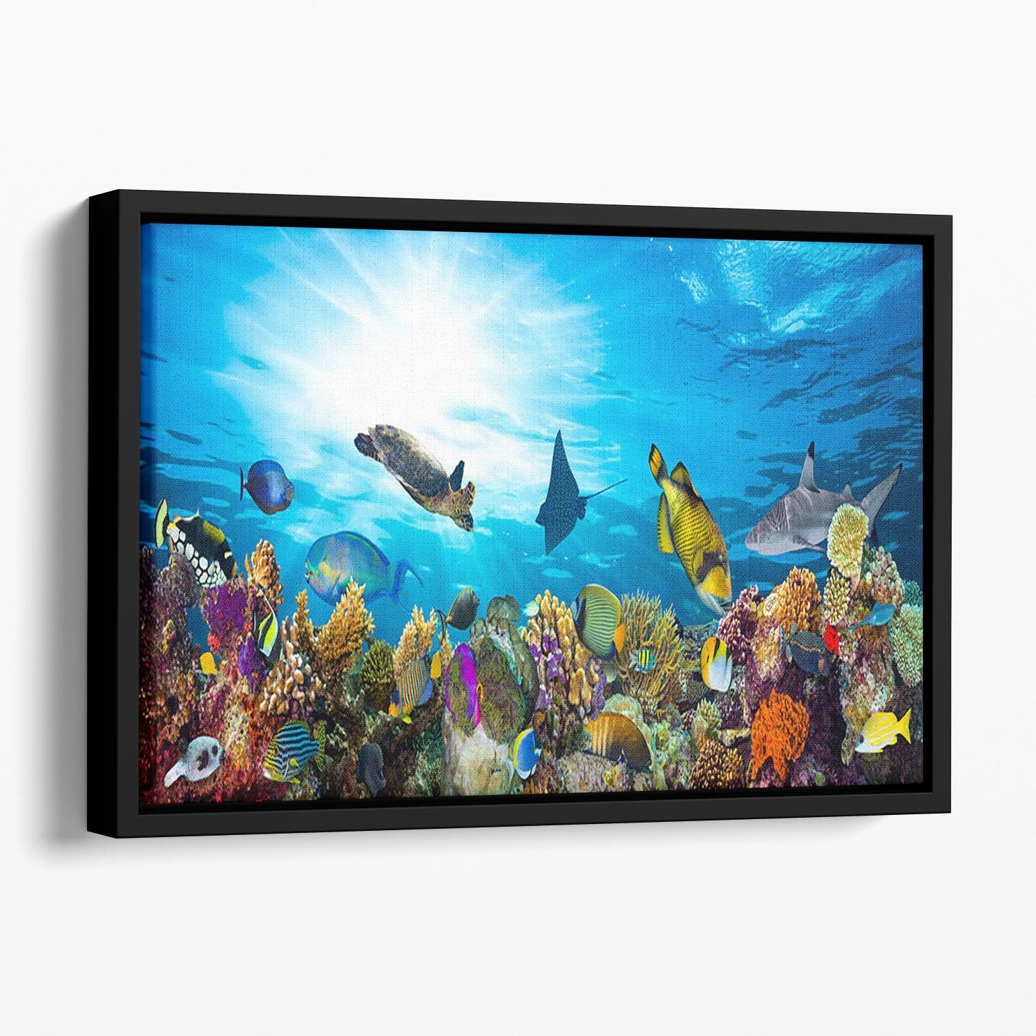 Colorful coral reef with many fishes and sea turtle Floating Framed Canvas - Canvas Art Rocks - 1