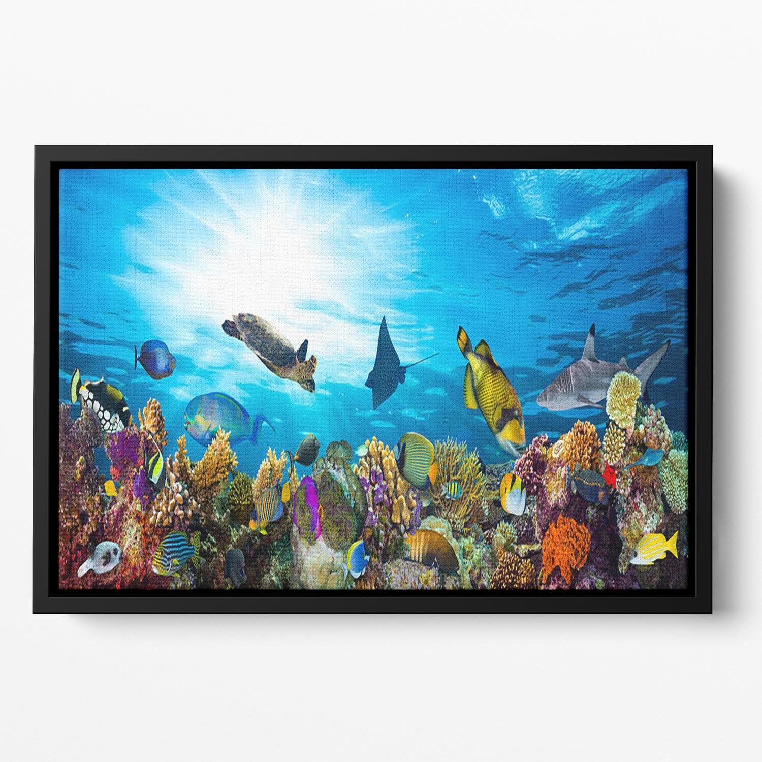 Colorful coral reef with many fishes and sea turtle Floating Framed Canvas - Canvas Art Rocks - 2