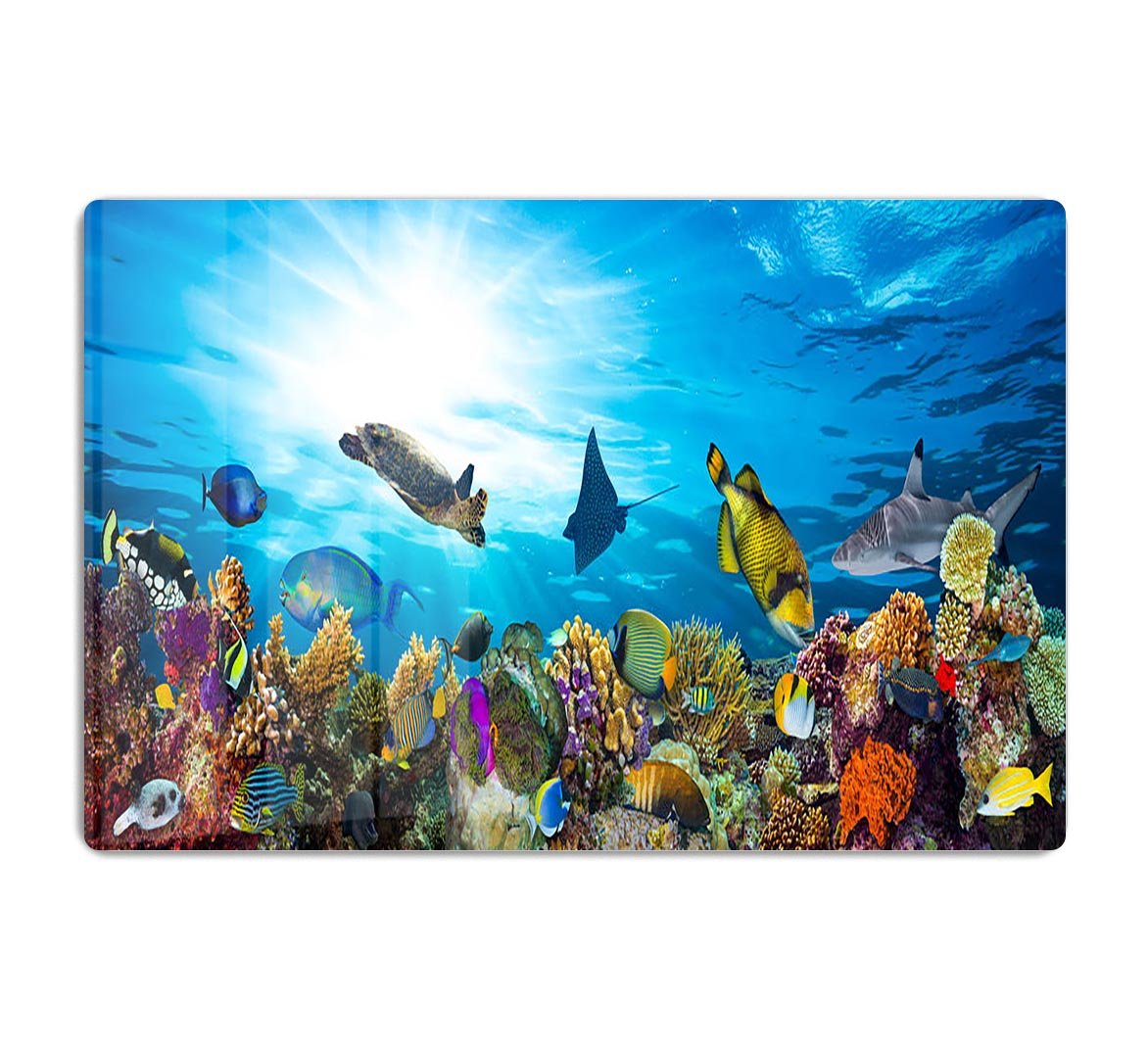 Colorful coral reef with many fishes and sea turtle HD Metal Print - Canvas Art Rocks - 1