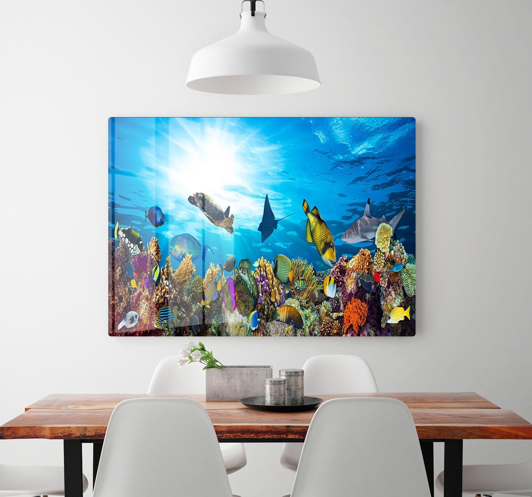 Colorful coral reef with many fishes and sea turtle HD Metal Print - Canvas Art Rocks - 2