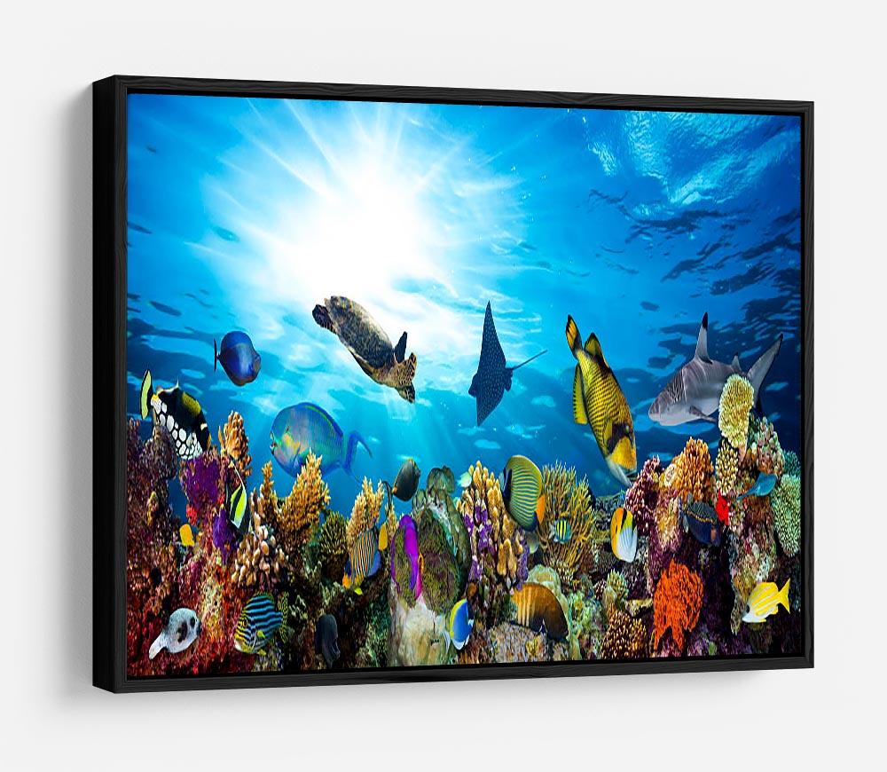 Colorful coral reef with many fishes and sea turtle HD Metal Print - Canvas Art Rocks - 6