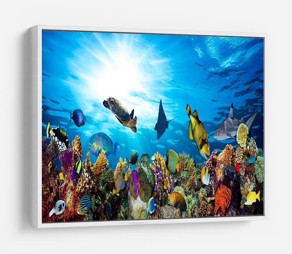 Colorful coral reef with many fishes and sea turtle HD Metal Print - Canvas Art Rocks - 7
