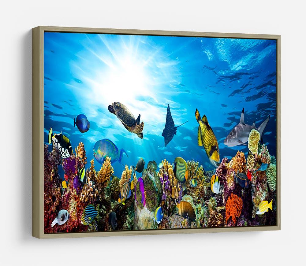 Colorful coral reef with many fishes and sea turtle HD Metal Print - Canvas Art Rocks - 8