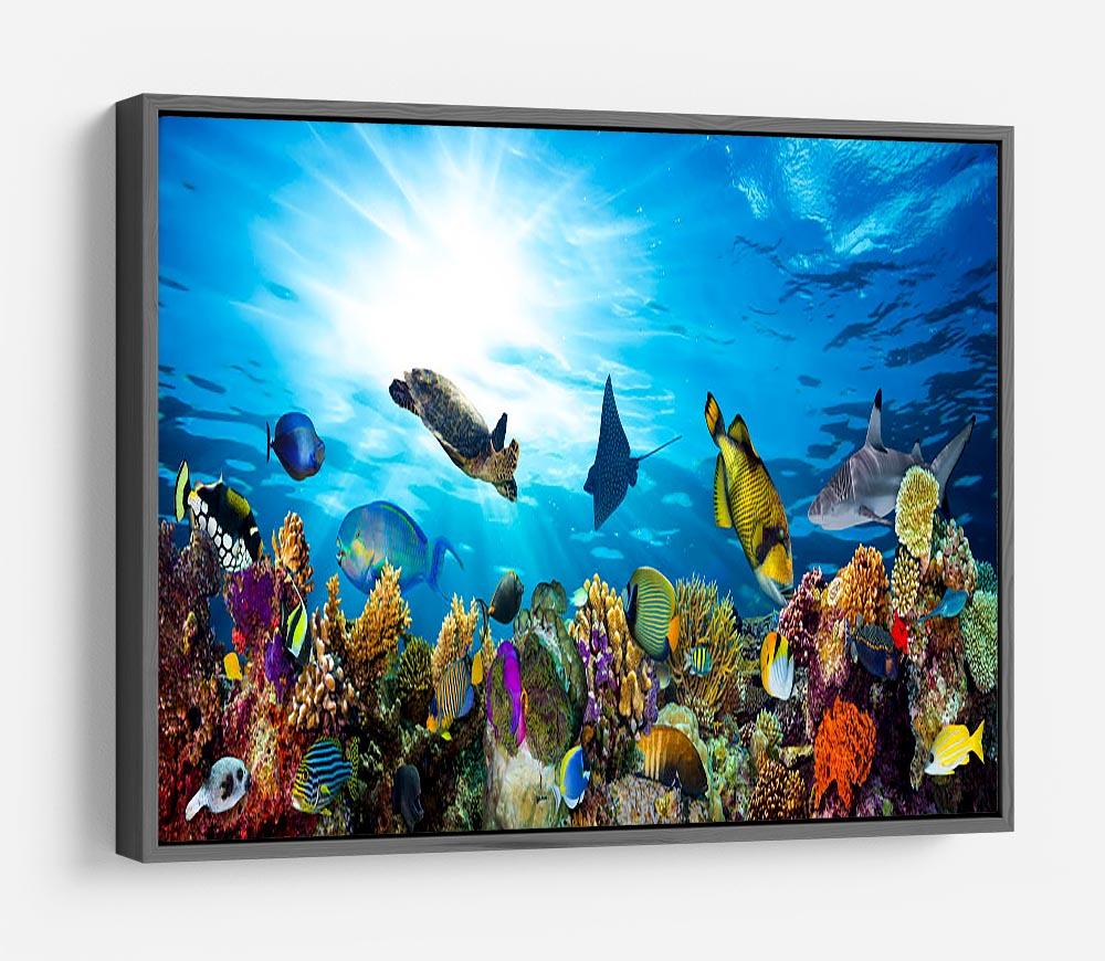 Colorful coral reef with many fishes and sea turtle HD Metal Print - Canvas Art Rocks - 9