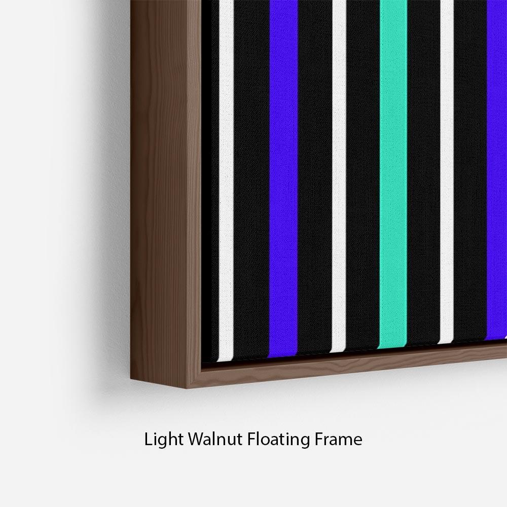 Colour Stripes FS1 Floating Frame Canvas