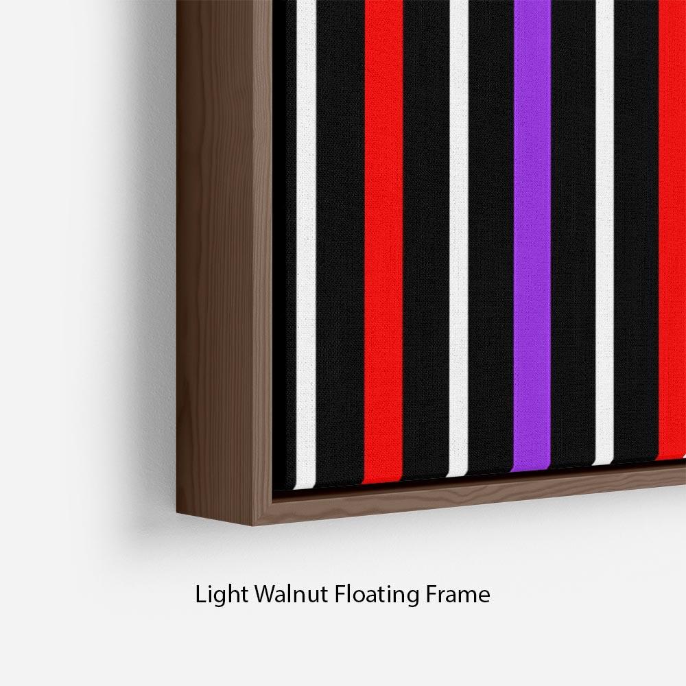 Colour Stripes FS2 Floating Frame Canvas