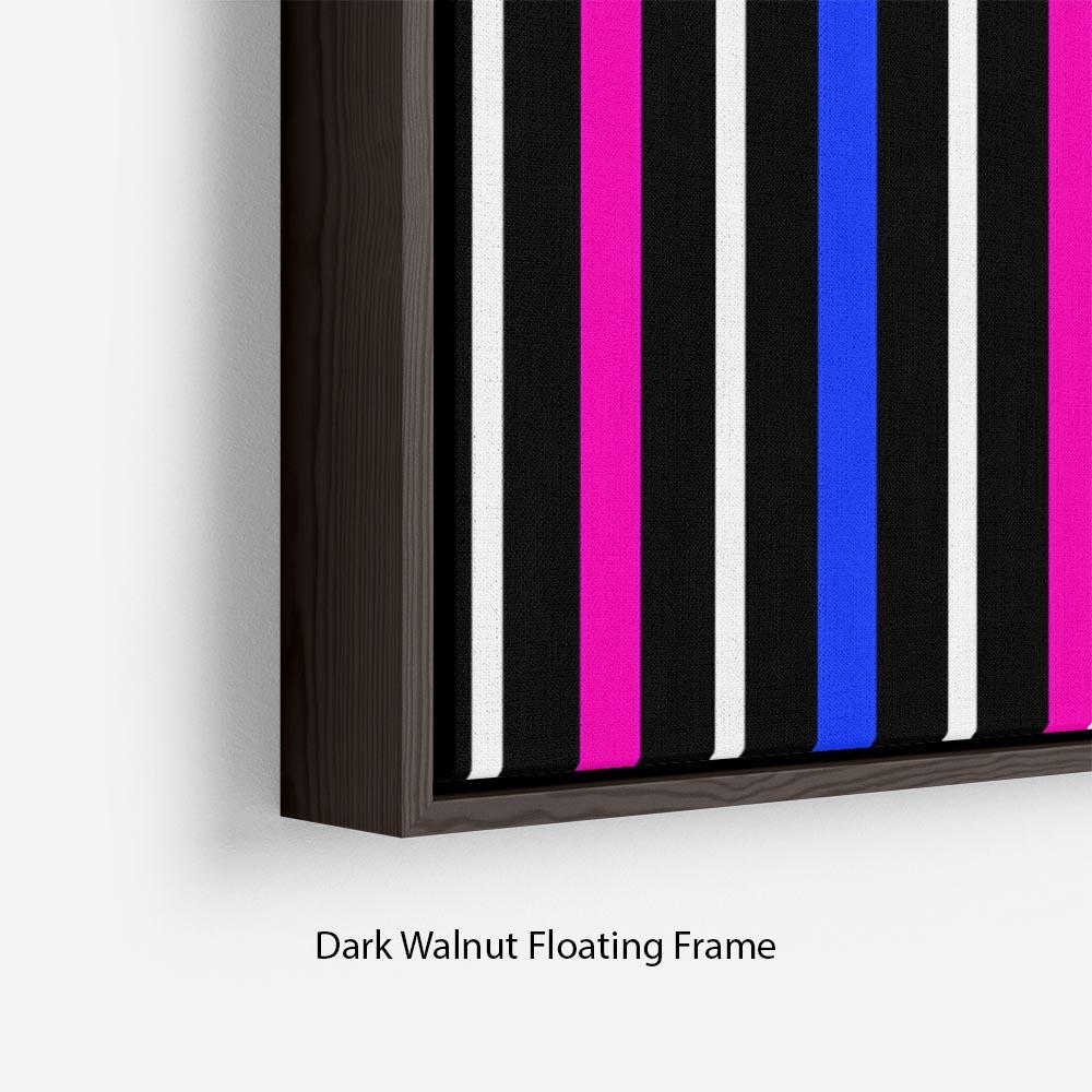 Colour Stripes FS3 Floating Frame Canvas