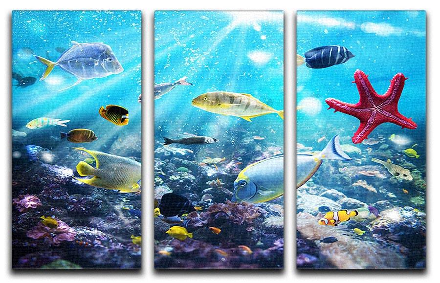 Colourful fish and marine vegetation undersea with sunray 3 Split Panel Canvas Print - Canvas Art Rocks - 1