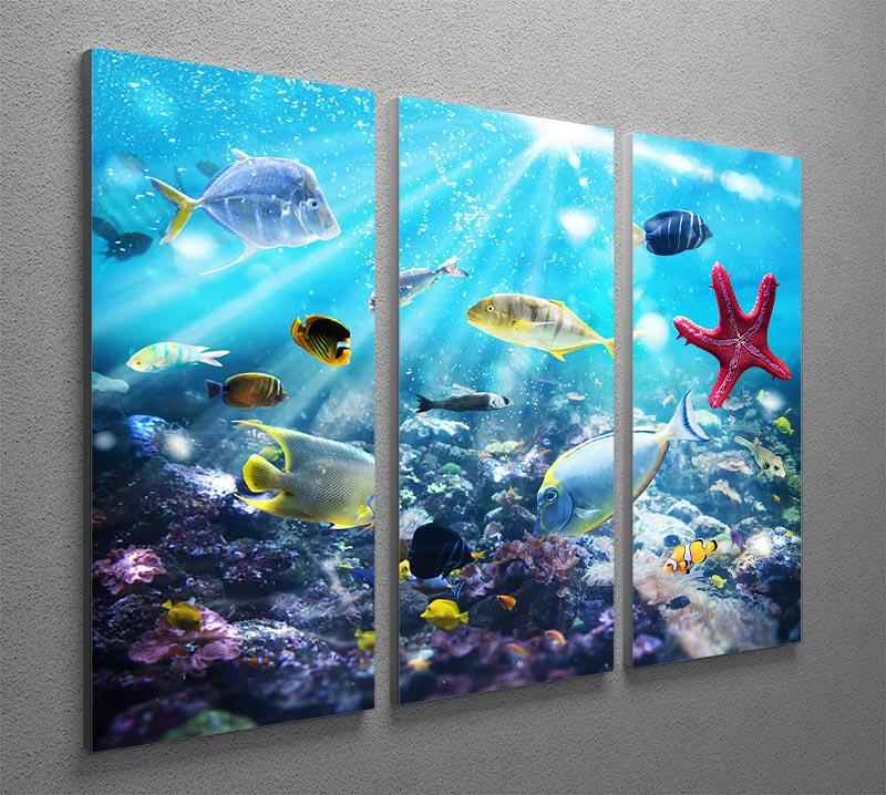 Colourful fish and marine vegetation undersea with sunray 3 Split Panel Canvas Print - Canvas Art Rocks - 2