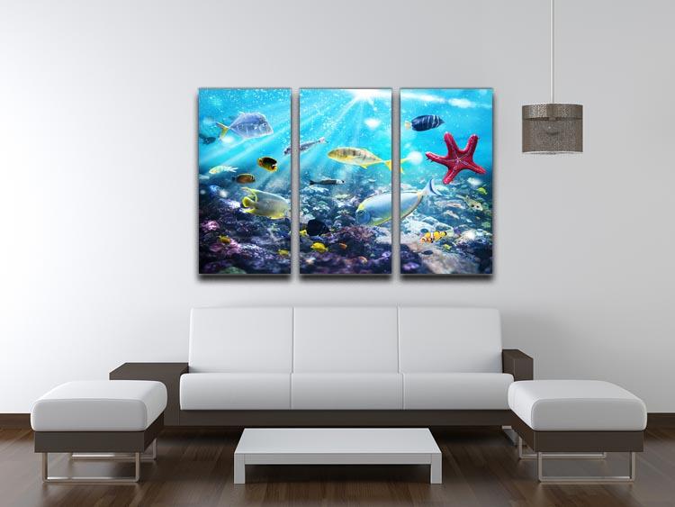 Colourful fish and marine vegetation undersea with sunray 3 Split Panel Canvas Print - Canvas Art Rocks - 3