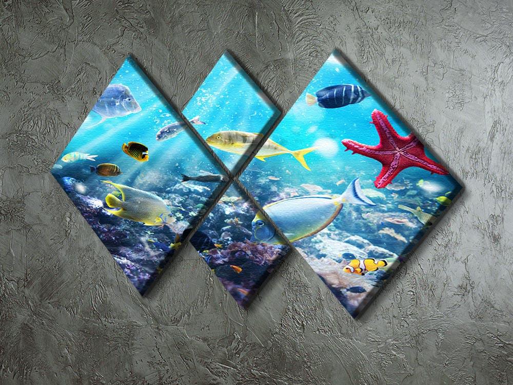 Colourful fish and marine vegetation undersea with sunray 4 Square Multi Panel Canvas - Canvas Art Rocks - 2