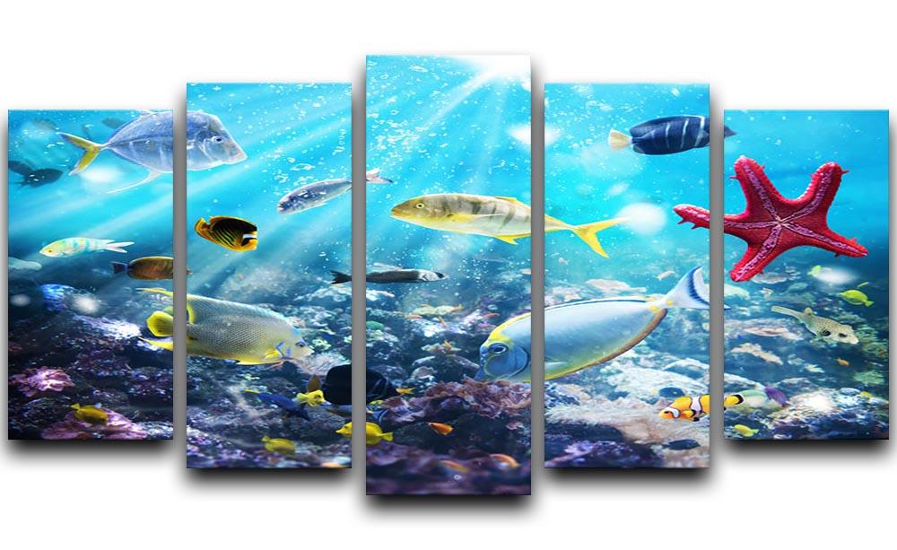 Colourful fish and marine vegetation undersea with sunray 5 Split Panel Canvas - Canvas Art Rocks - 1