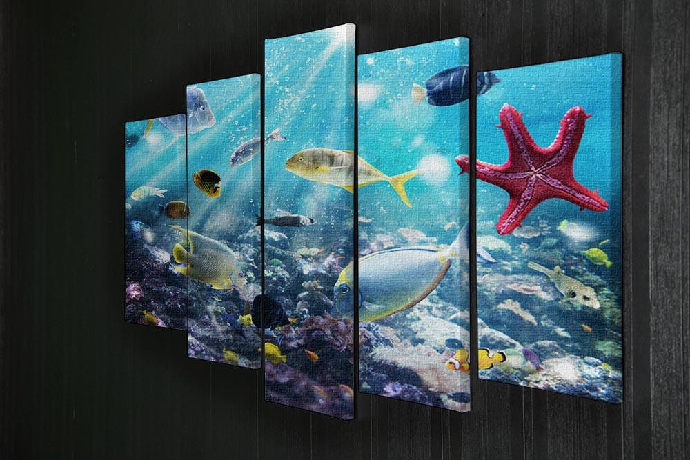 Colourful fish and marine vegetation undersea with sunray 5 Split Panel Canvas - Canvas Art Rocks - 2