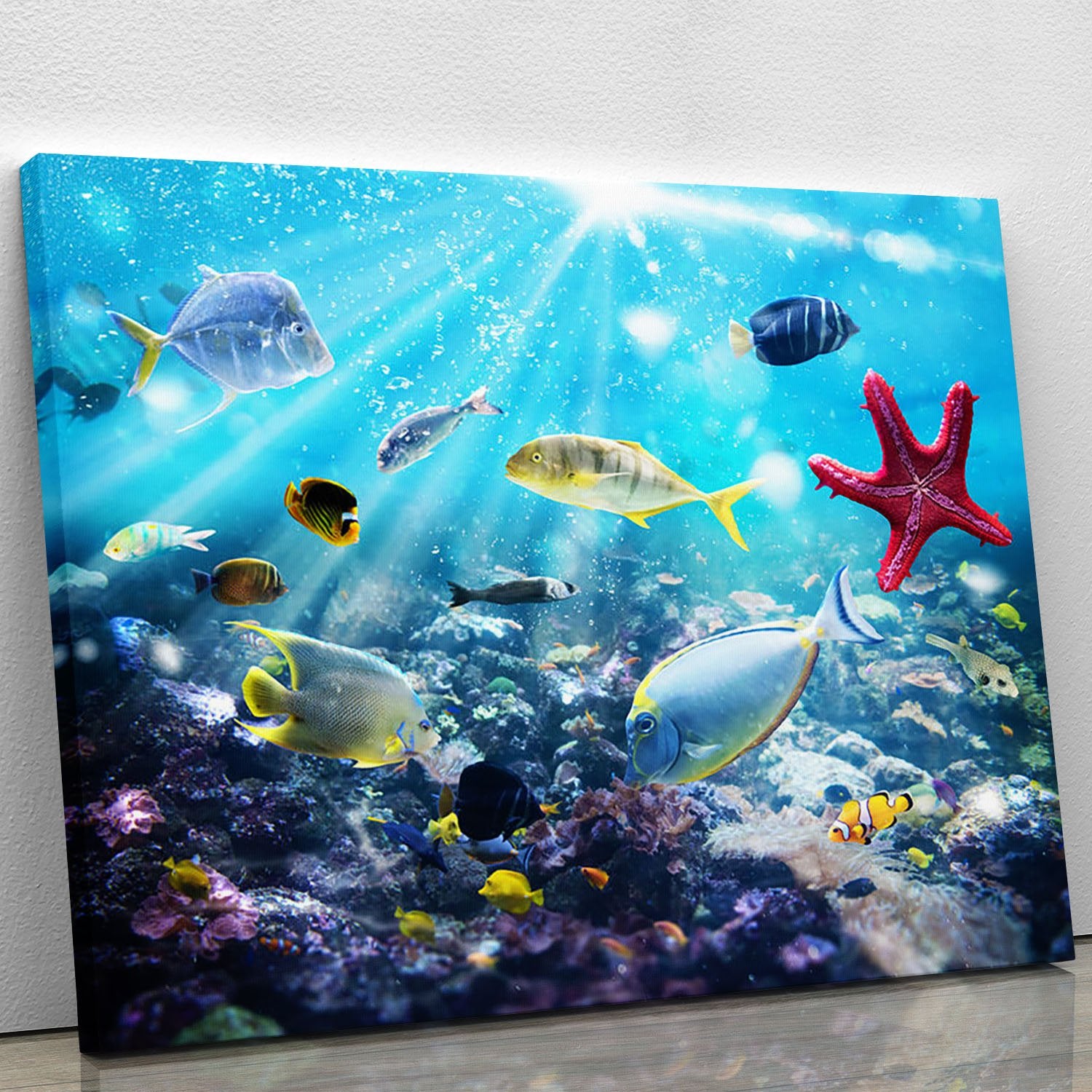 Colourful fish and marine vegetation undersea with sunray Canvas Print or Poster