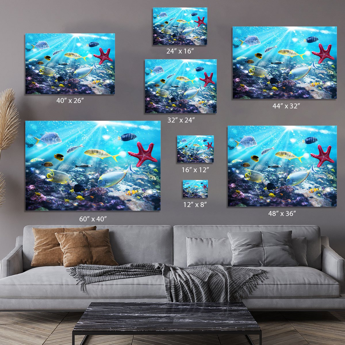 Colourful fish and marine vegetation undersea with sunray Canvas Print or Poster