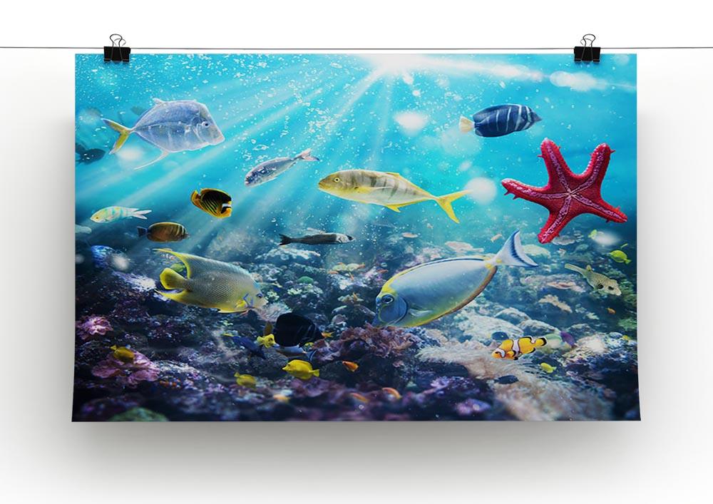 Colourful fish and marine vegetation undersea with sunray Canvas Print or Poster - Canvas Art Rocks - 2
