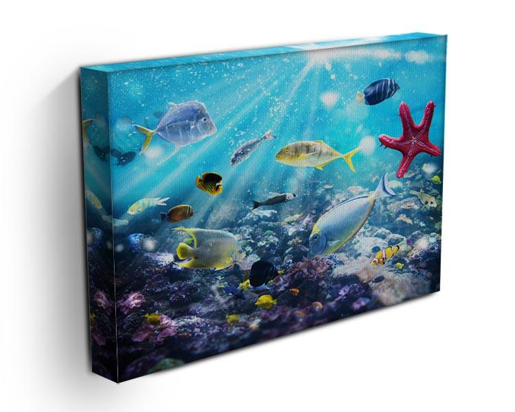 Colourful fish and marine vegetation undersea with sunray Canvas Print or Poster - Canvas Art Rocks - 3