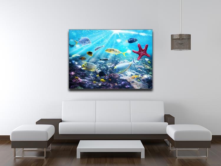 Colourful fish and marine vegetation undersea with sunray Canvas Print or Poster - Canvas Art Rocks - 4