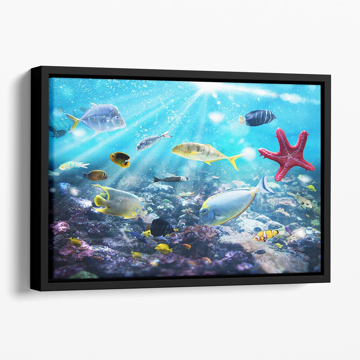 Colourful fish and marine vegetation undersea with sunray Floating Framed Canvas - Canvas Art Rocks - 1