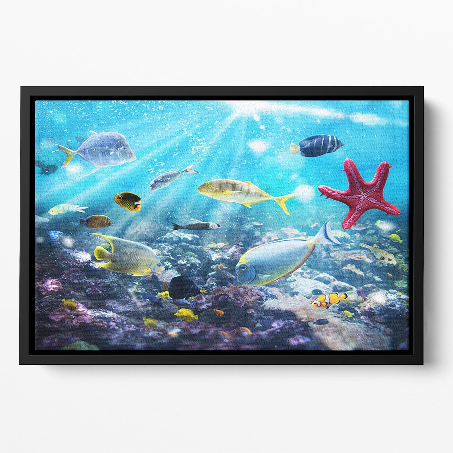 Colourful fish and marine vegetation undersea with sunray Floating Framed Canvas - Canvas Art Rocks - 2