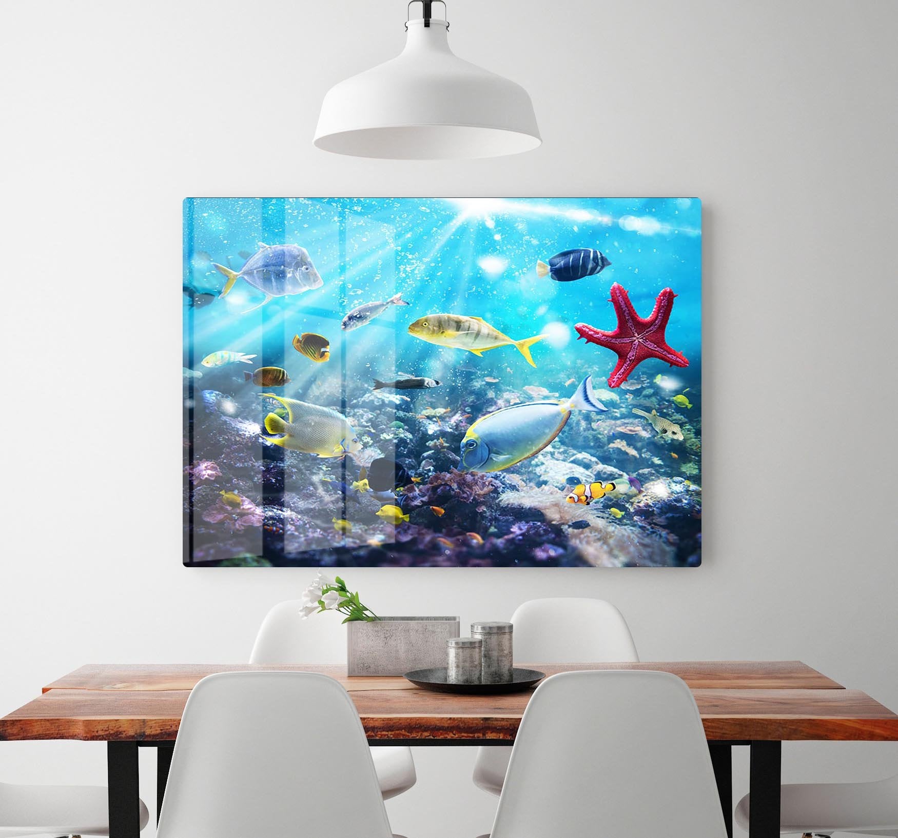 Colourful fish and marine vegetation undersea with sunray HD Metal Print - Canvas Art Rocks - 2