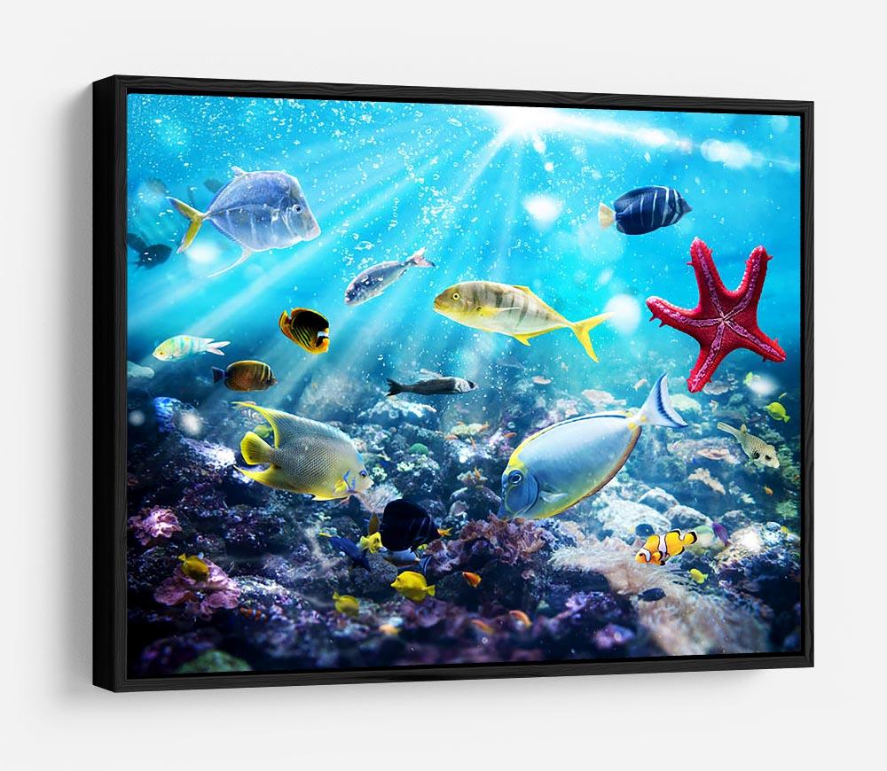 Colourful fish and marine vegetation undersea with sunray HD Metal Print - Canvas Art Rocks - 6