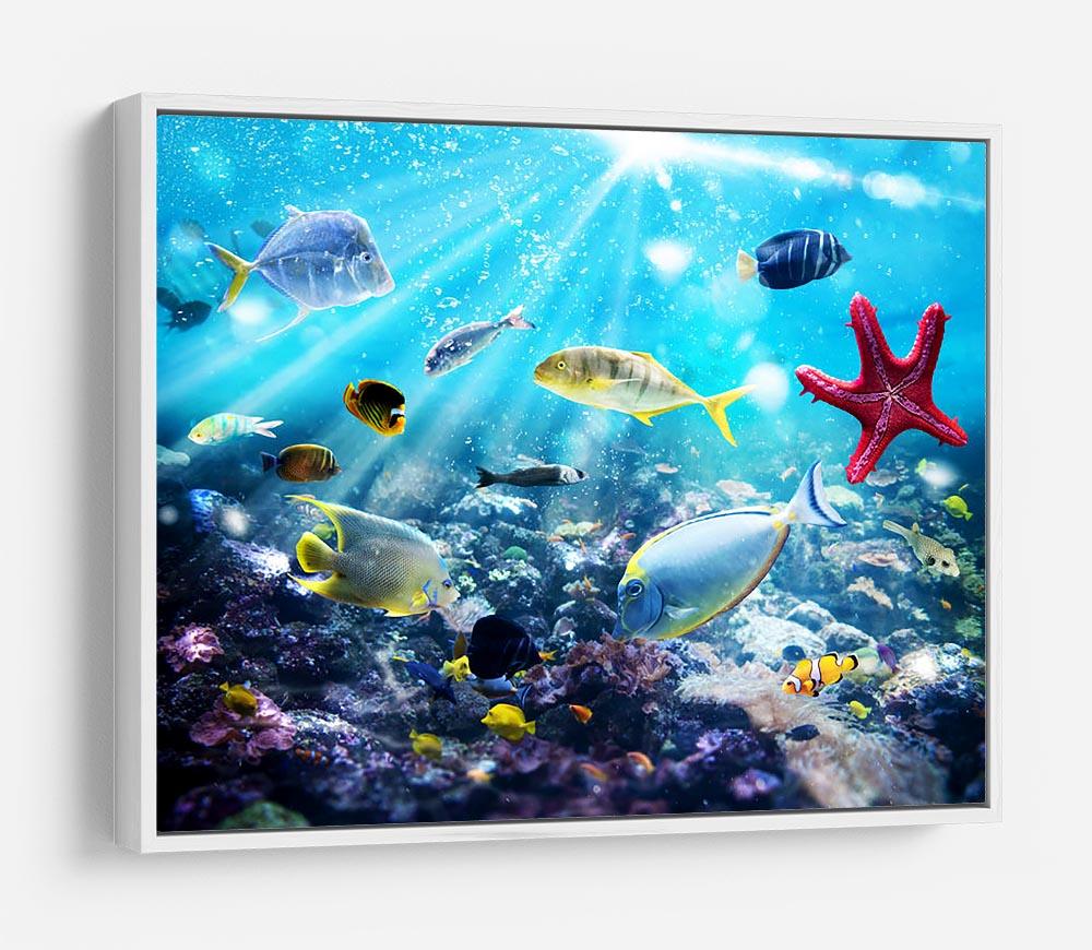 Colourful fish and marine vegetation undersea with sunray HD Metal Print - Canvas Art Rocks - 7