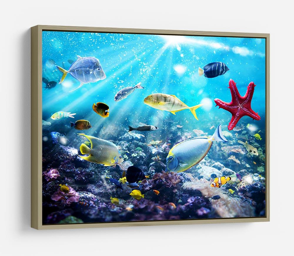 Colourful fish and marine vegetation undersea with sunray HD Metal Print - Canvas Art Rocks - 8
