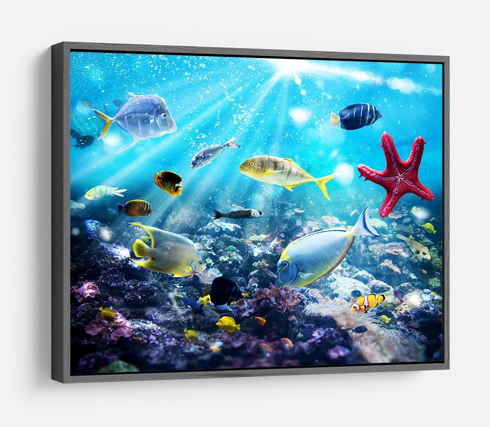 Colourful fish and marine vegetation undersea with sunray HD Metal Print - Canvas Art Rocks - 9