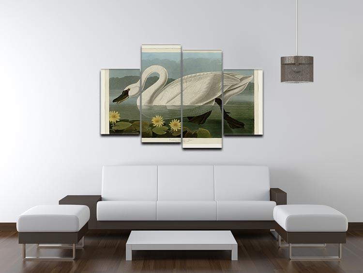 Common American Swan by Audubon 4 Split Panel Canvas - Canvas Art Rocks - 3