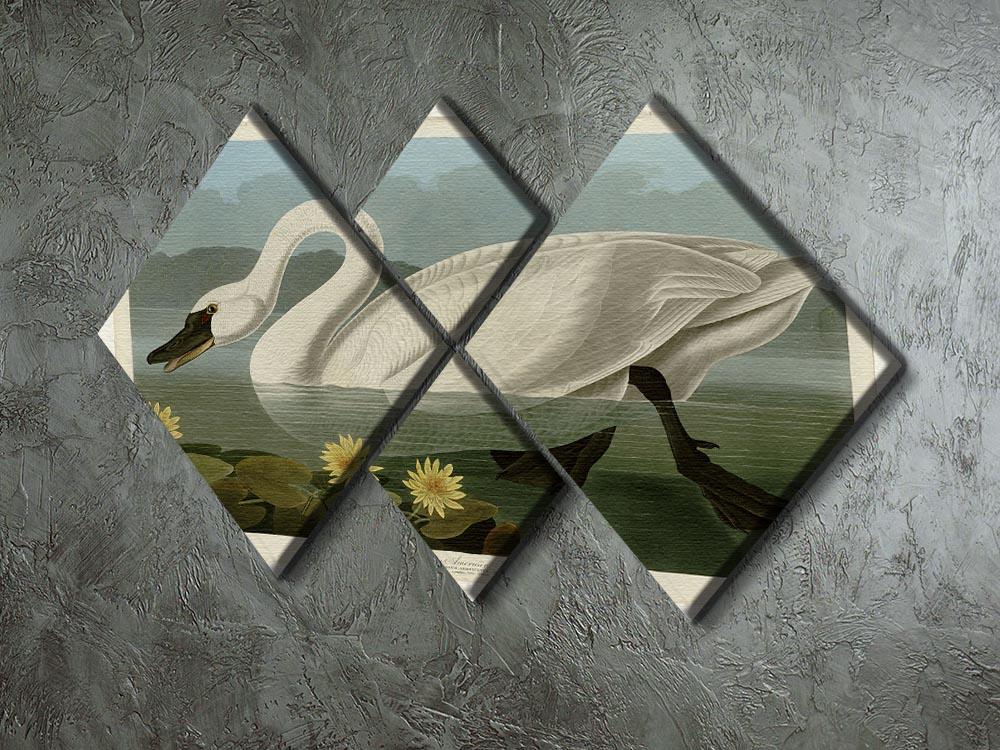 Common American Swan by Audubon 4 Square Multi Panel Canvas - Canvas Art Rocks - 2