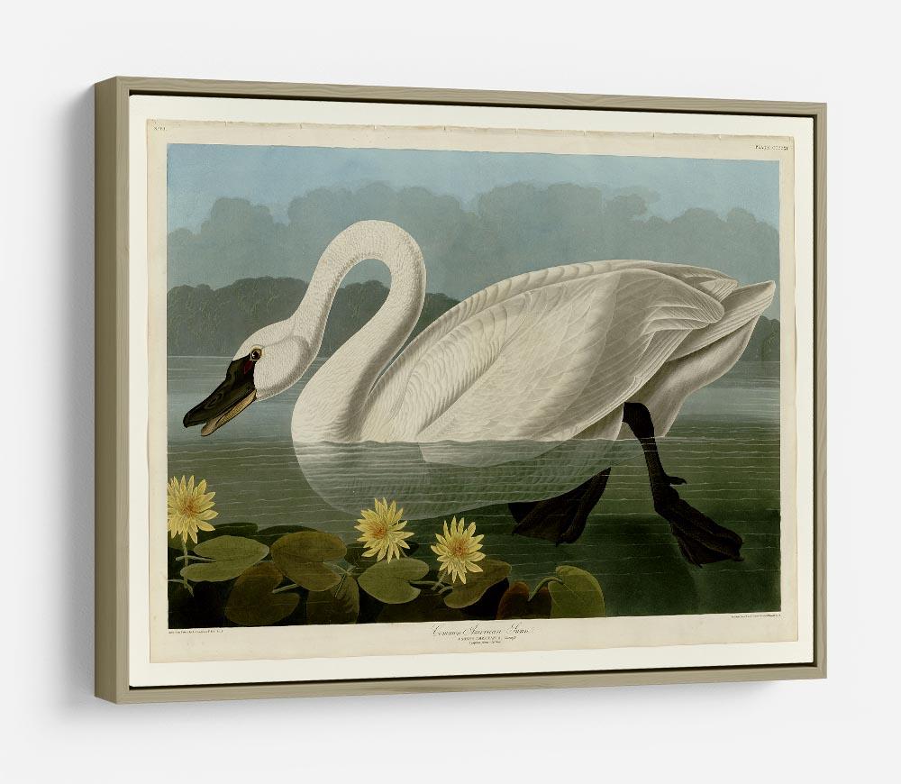 Common American Swan by Audubon HD Metal Print - Canvas Art Rocks - 8