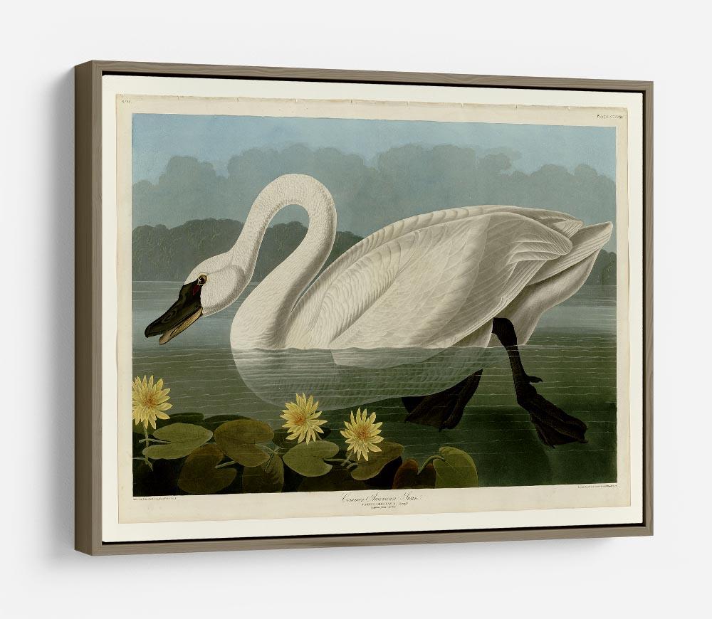 Common American Swan by Audubon HD Metal Print - Canvas Art Rocks - 10