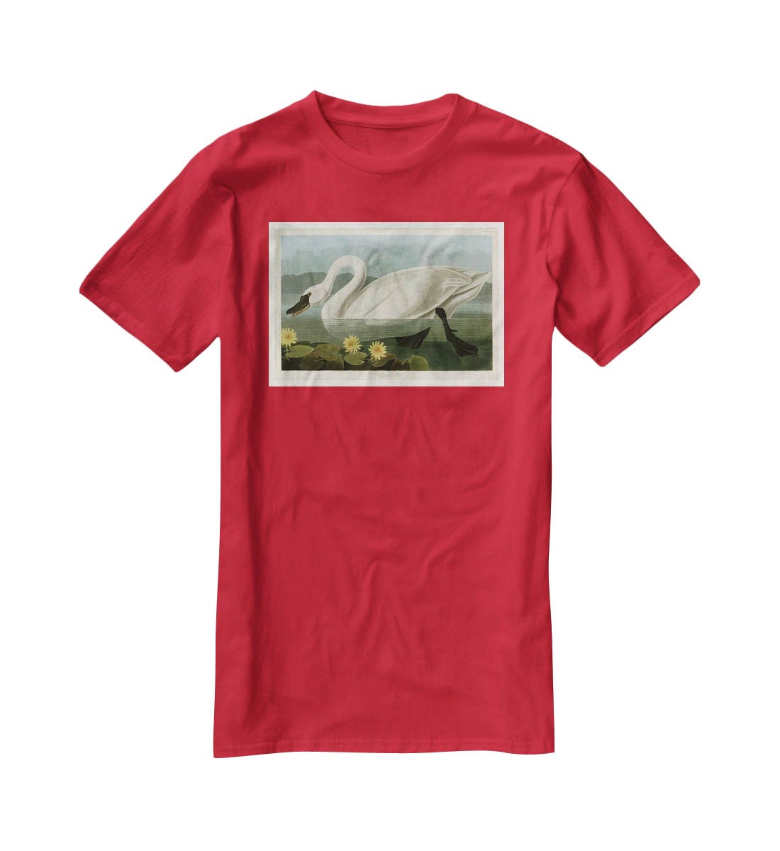 Common American Swan by Audubon T-Shirt - Canvas Art Rocks - 4