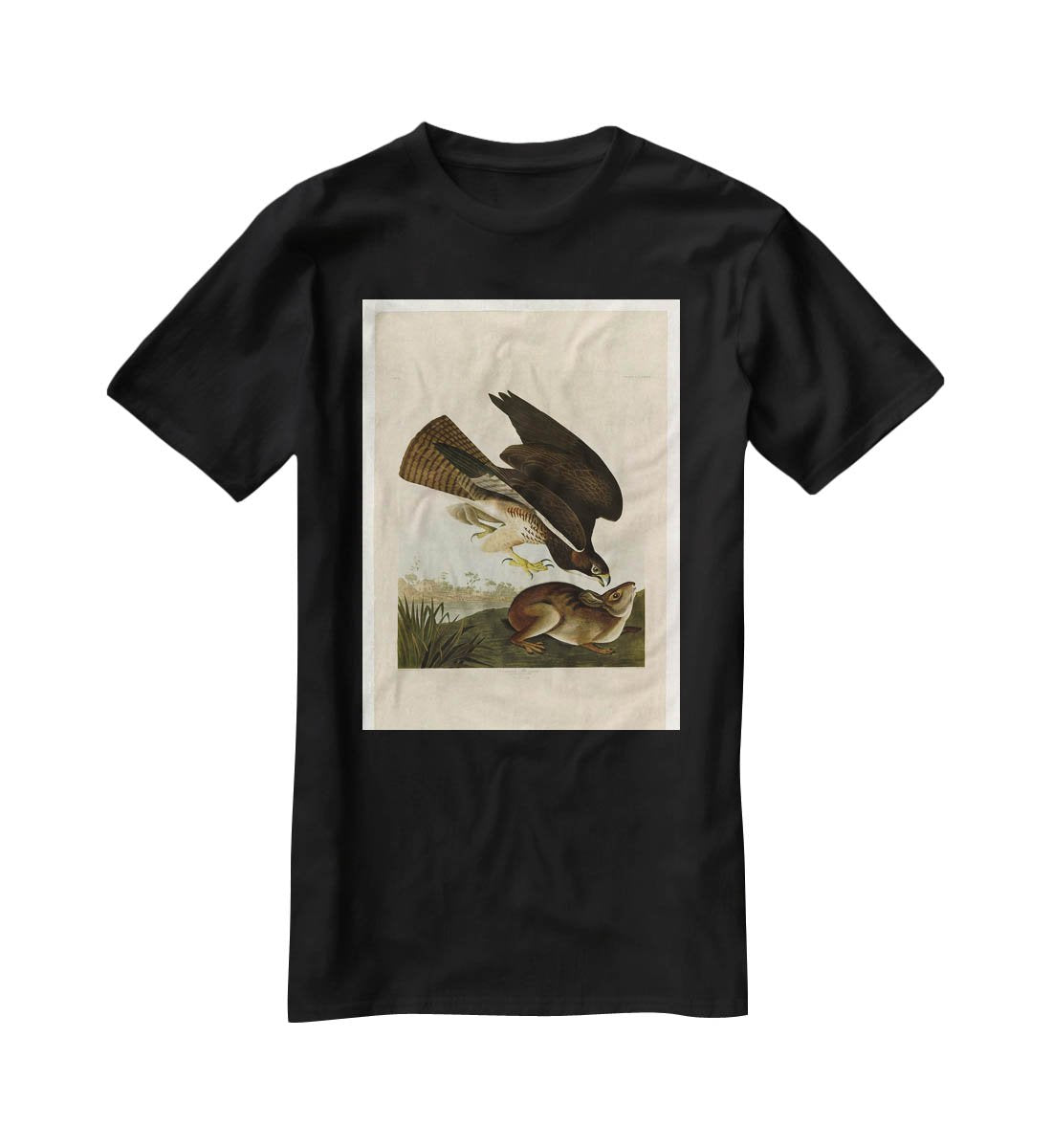 Common Buzzard by Audubon T-Shirt - Canvas Art Rocks - 1