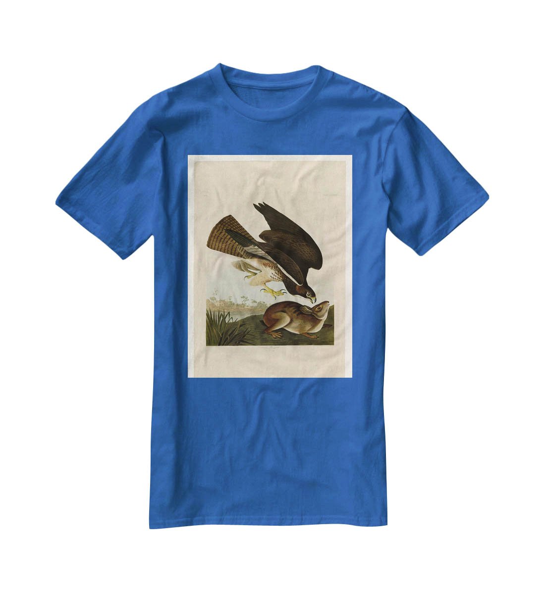 Common Buzzard by Audubon T-Shirt - Canvas Art Rocks - 2