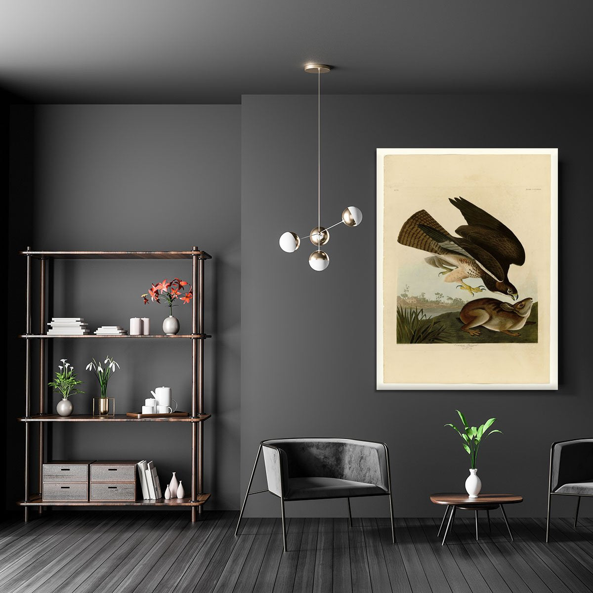 Common Buzzard by Audubon Canvas Print or Poster