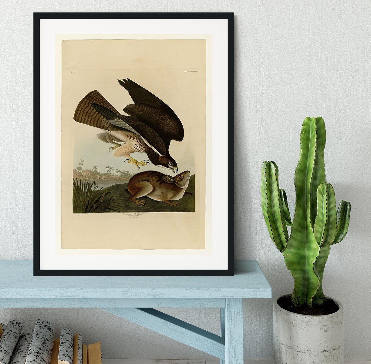 Common Buzzard by Audubon Framed Print - Canvas Art Rocks - 1