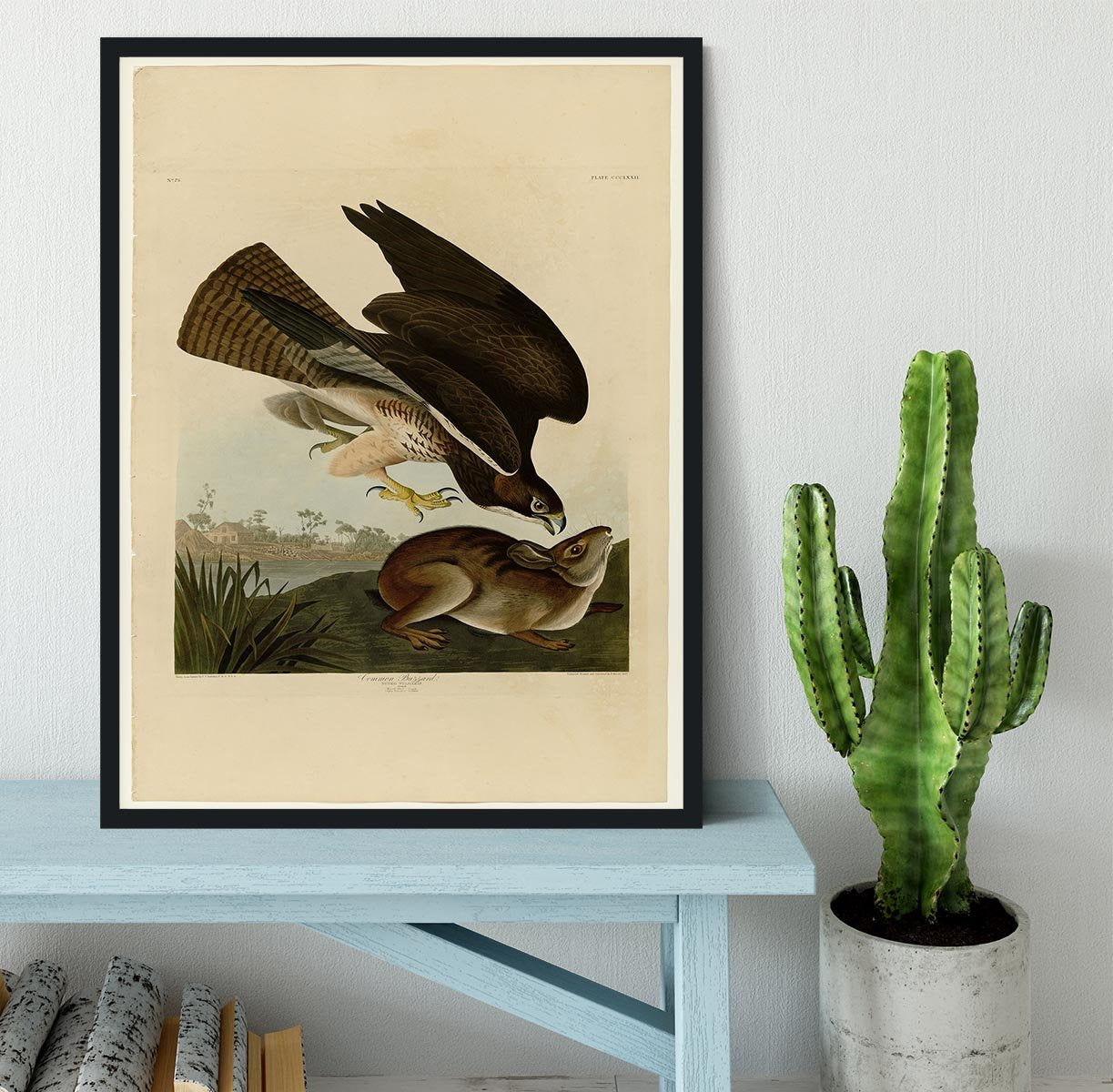 Common Buzzard by Audubon Framed Print - Canvas Art Rocks - 2