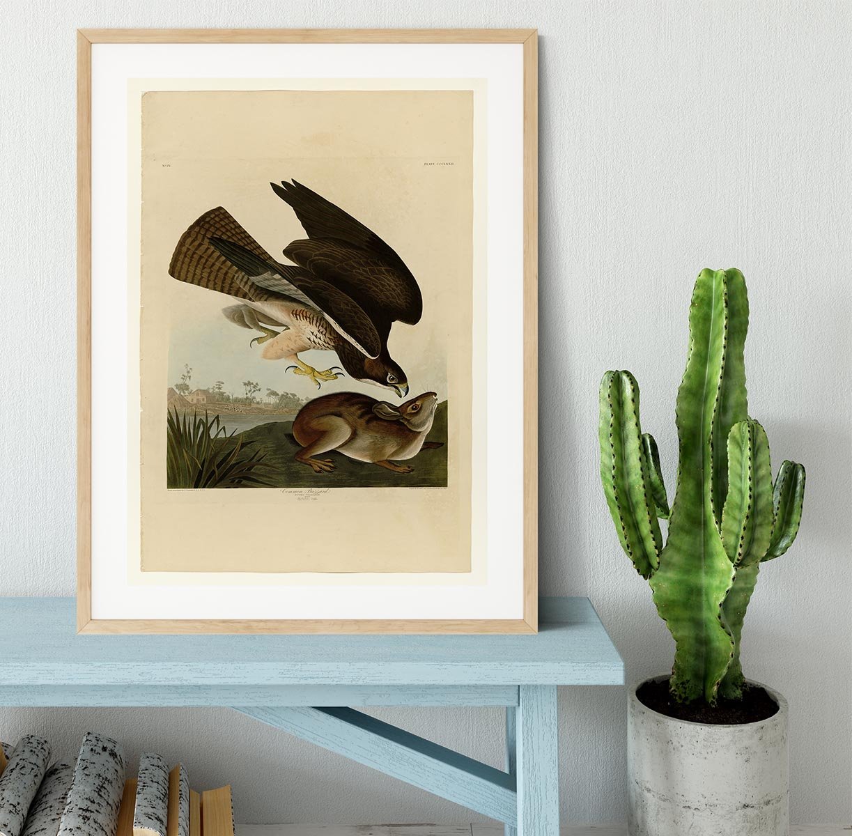 Common Buzzard by Audubon Framed Print - Canvas Art Rocks - 3