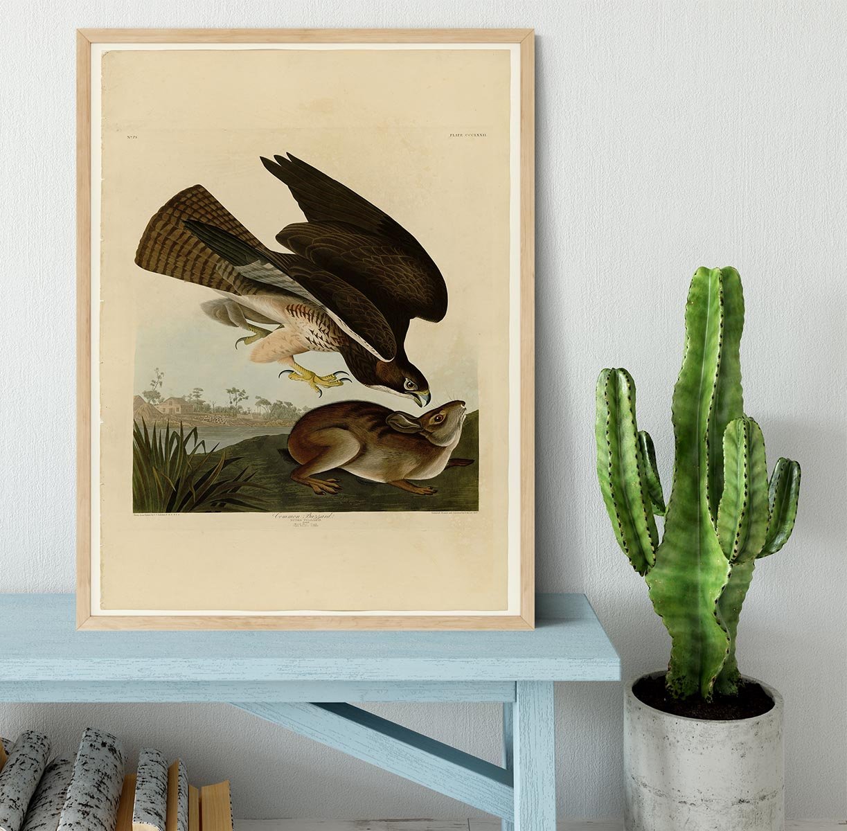 Common Buzzard by Audubon Framed Print - Canvas Art Rocks - 4