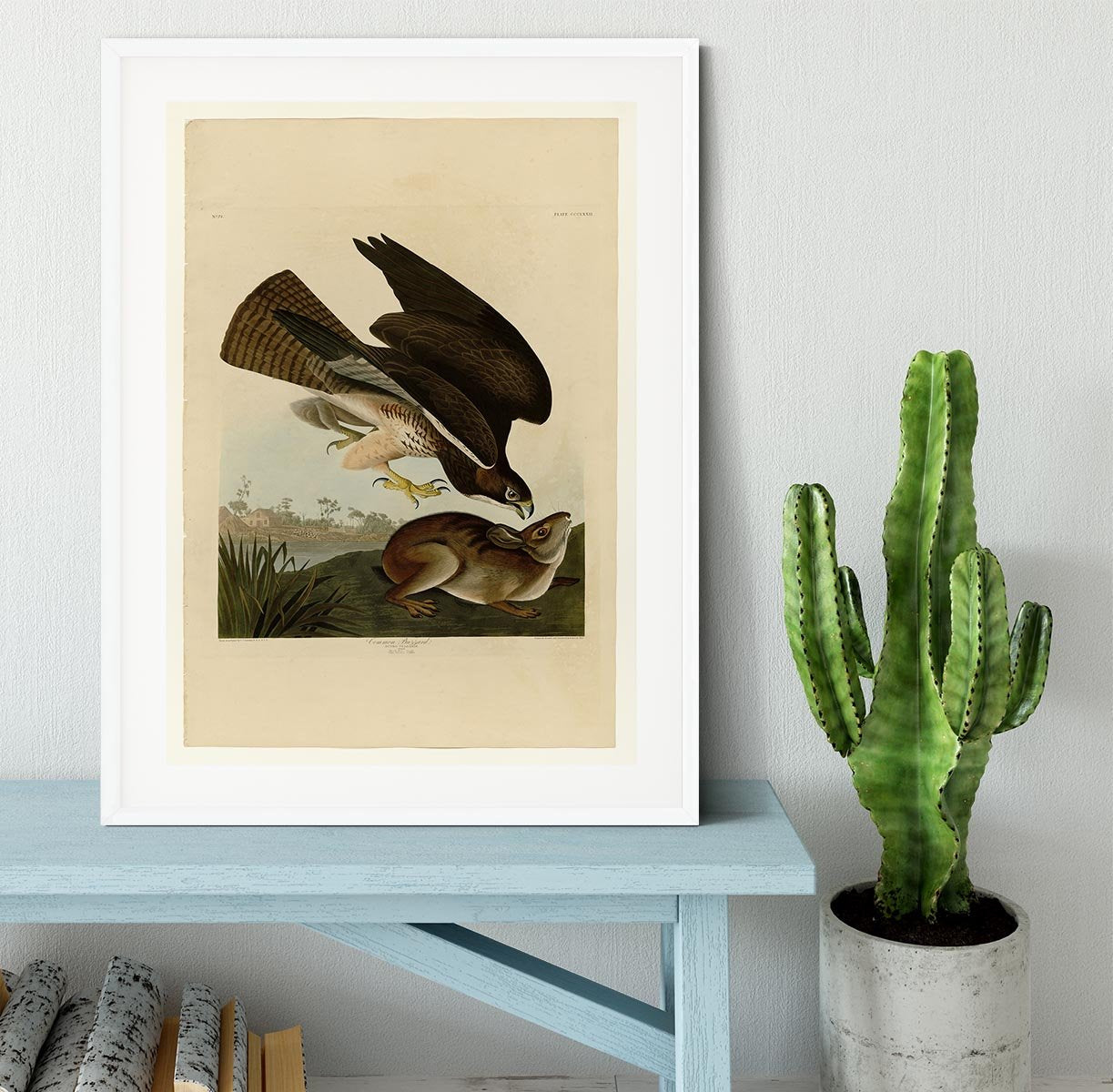 Common Buzzard by Audubon Framed Print - Canvas Art Rocks - 5