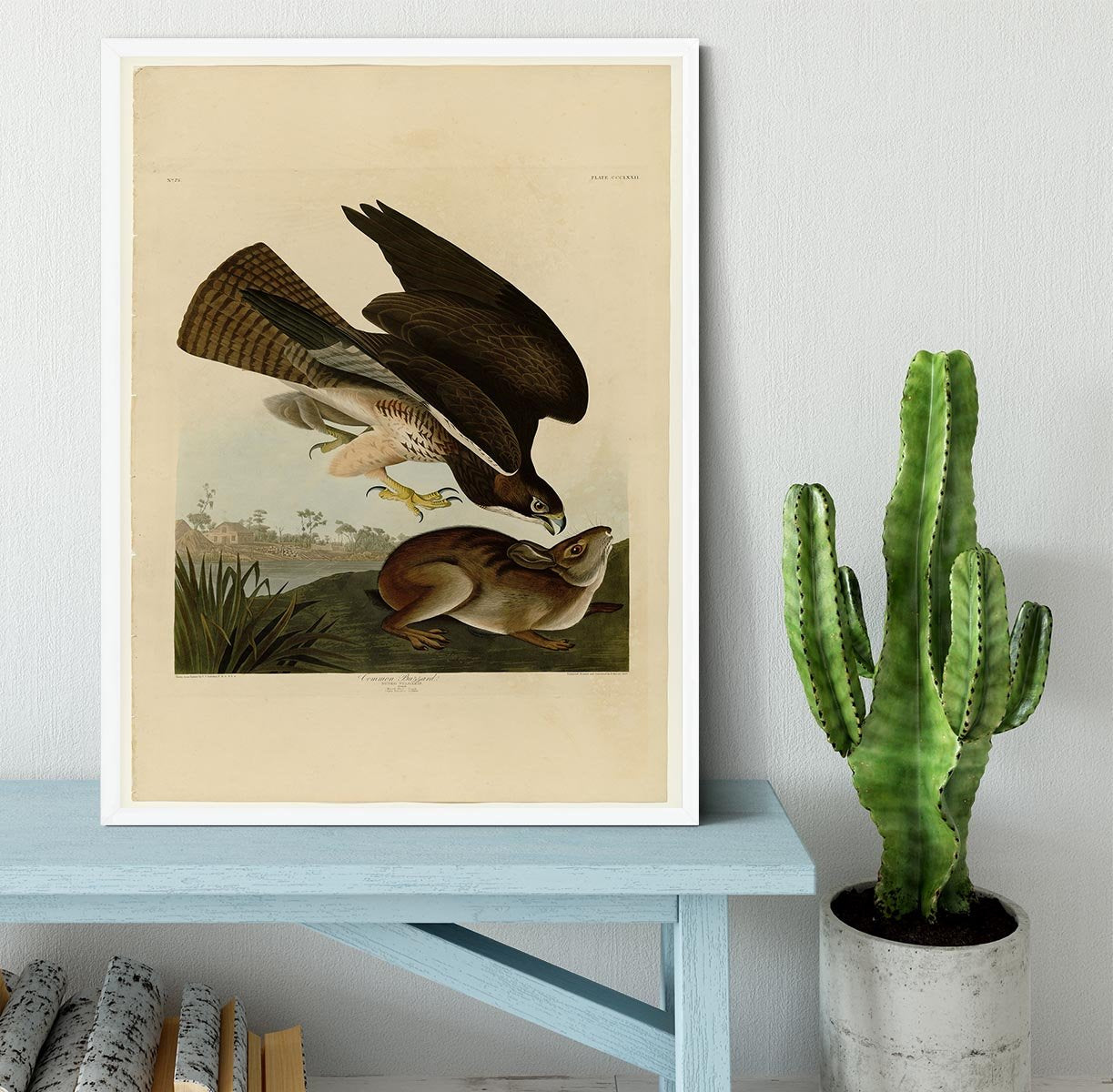 Common Buzzard by Audubon Framed Print - Canvas Art Rocks -6